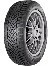 Falken EUROWINTER HS02 225/55 R17 101V