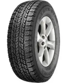 Black Star Arizona 255/65 R17 110S