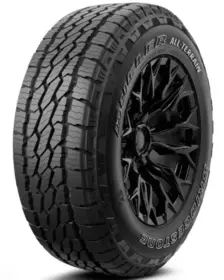 Bridgestone DUELER A/T 693III 265/55 R19 109V