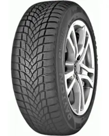 Dayton DW510 EVO 205/50 R16 87H