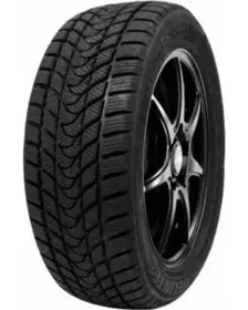 Delinte WINTER WD1 175/70 R14 88T