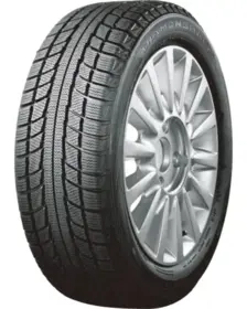 Diamond Back Snowlion DR777 205/55 R16 94V