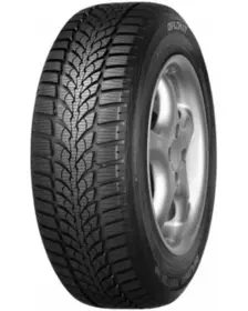 Diplomat WINTER HP 205/55 R16 91T