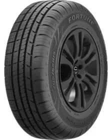 Fortune FSR602 205/60 R16 96V