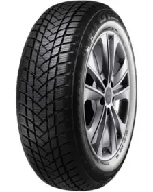 GT Radial WINTERPRO2 245/65 R17 111H