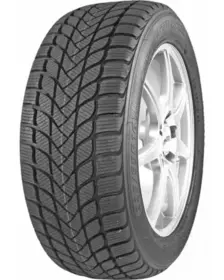 Mastersteel WINTER + 205/60 R16 96H