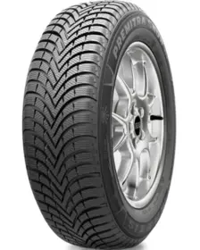 Maxxis Victra Snow MA-SW 255/65 R16 109H