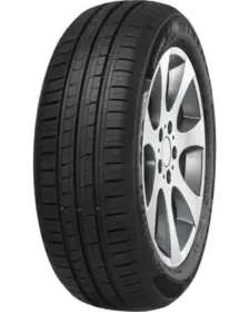 Minerva 209 145/60 R13 66T