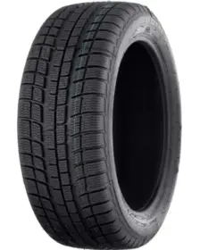 Profil Winter Maxx 215/60 R16 95H