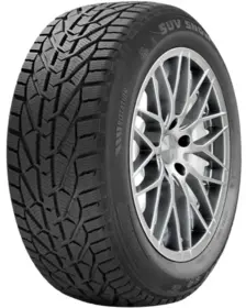 Riken SNOW 195/55 R16 87H