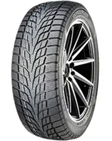 Roadcruza Ice-Fighter I 165/70 R13 79T