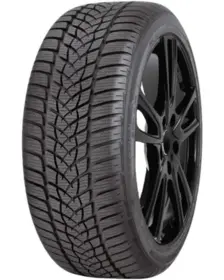 Sunny Wintermax NW211 255/55 R18 109V