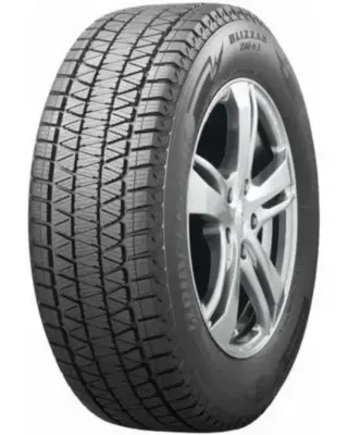 Bridgestone BLIZZAK DM-V3